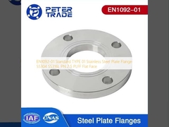 EN1092-01 Standard TYPE 01 Stainless Steel Plate Flange SS304 SS316L PN 2.5 PLFF Flat Face